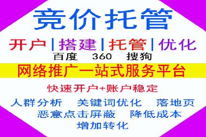 网络推广中的竞价广告：成功案例解析